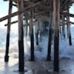 Meet your Posher, Heidi